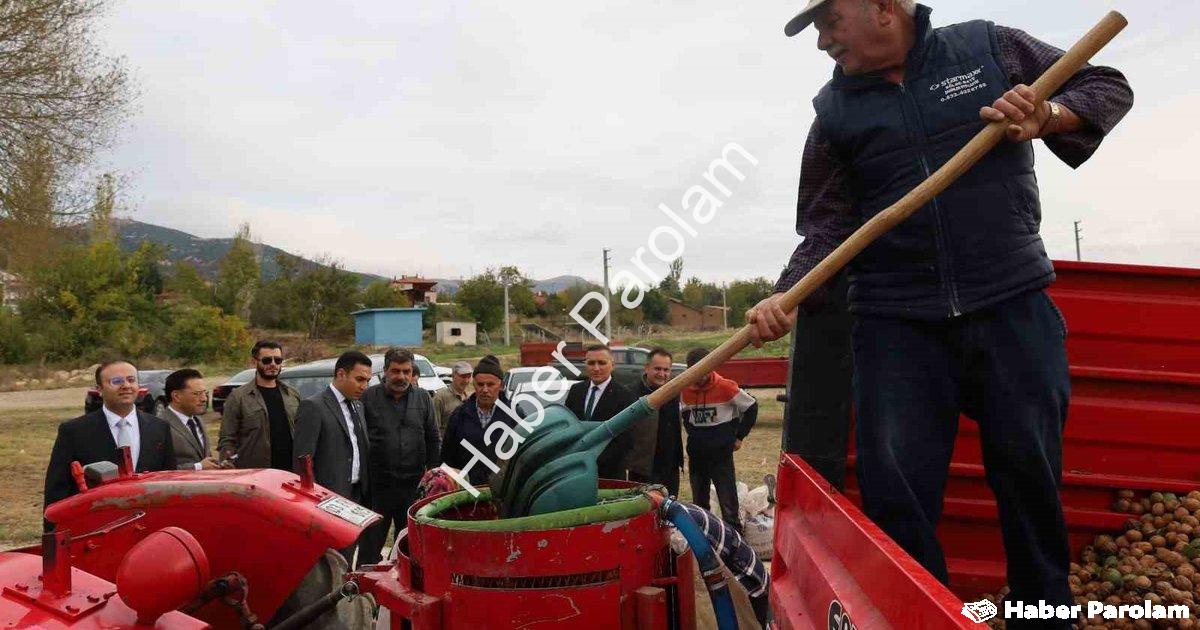 AFYONKARAHİSAR'IN DİNAR İLÇESİNDE CEVİZ HASADI BAŞLARKEN, REKOLTENİN BU YIL ÇİFTÇİLERİ MEMNUN ETTİĞİ BELİRTİLDİ.