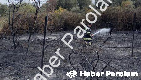 Muğla Yatağan’da Korkutan Yangın: Üzüm Bağları Alevlere Teslim Oldu