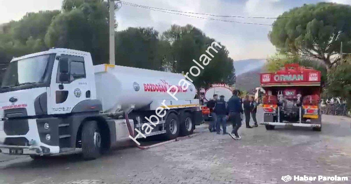 "Aydın Bozdoğan'da Korkutan Yangın: Alevler Ormana Sıçradı" başlıklı haber için fotorealistik, profe