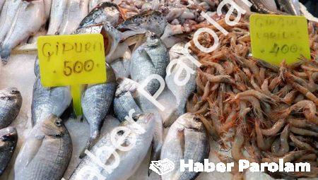 Foça Balık Hali’nde Kış Bereketi: Sardalya ve Uskumru Mevsimi Başladı