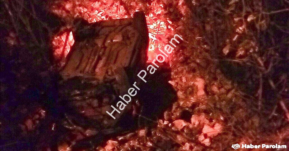 "Muğla Menteşe'de Korku Dolu Anlar: Otomobil Dereye Uçtu!" başlıklı haber için fotorealistik, profes