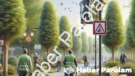 Afyonkarahisar’da Ağaç Budama Çalışmaları İçin Park Uyarısı