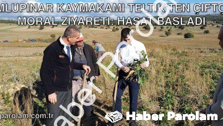 Dumlupınar Kaymakamı Teltik’ten Çiftçiye Moral Ziyareti: Hasat Başladı