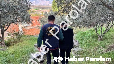 Aydın Söke’de Firari Şahıs Ormandaki Metruk Binada Yakalandı