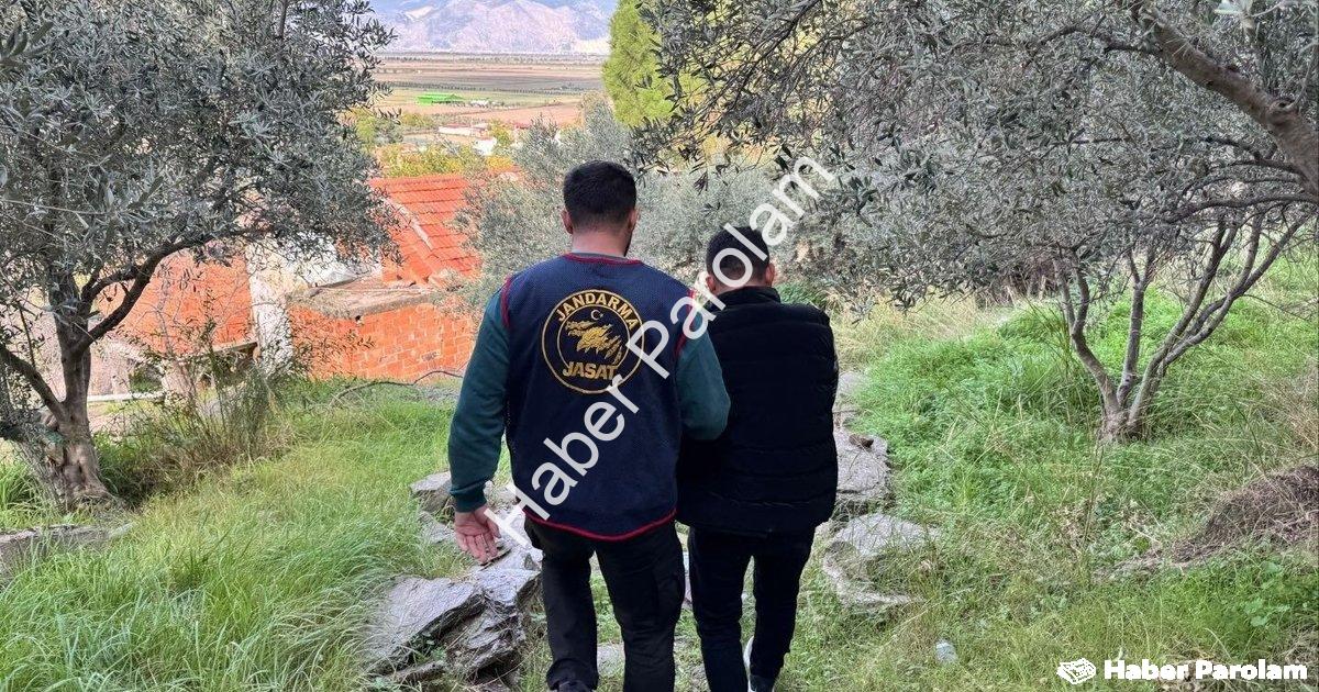 "Aydın Söke’de Firari Şahıs Ormandaki Metruk Binada Yakalandı" başlıklı haber için fotorealistik, pr