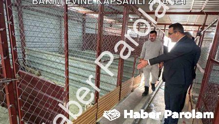 Sarıgöl Kaymakamı Halil Dalak’tan Hayvan Bakım Evine Kapsamlı Ziyaret