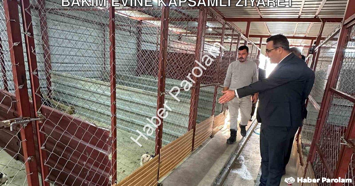 "Sarıgöl Kaymakamı Halil Dalak’tan Hayvan Bakım Evine Kapsamlı Ziyaret" başlıklı haber için fotoreal