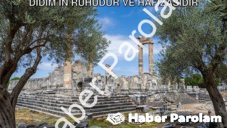 Başkan Gençay Vurguladı: Zeytin Ağacı Didim’in Ruhudur ve Hafızasıdır