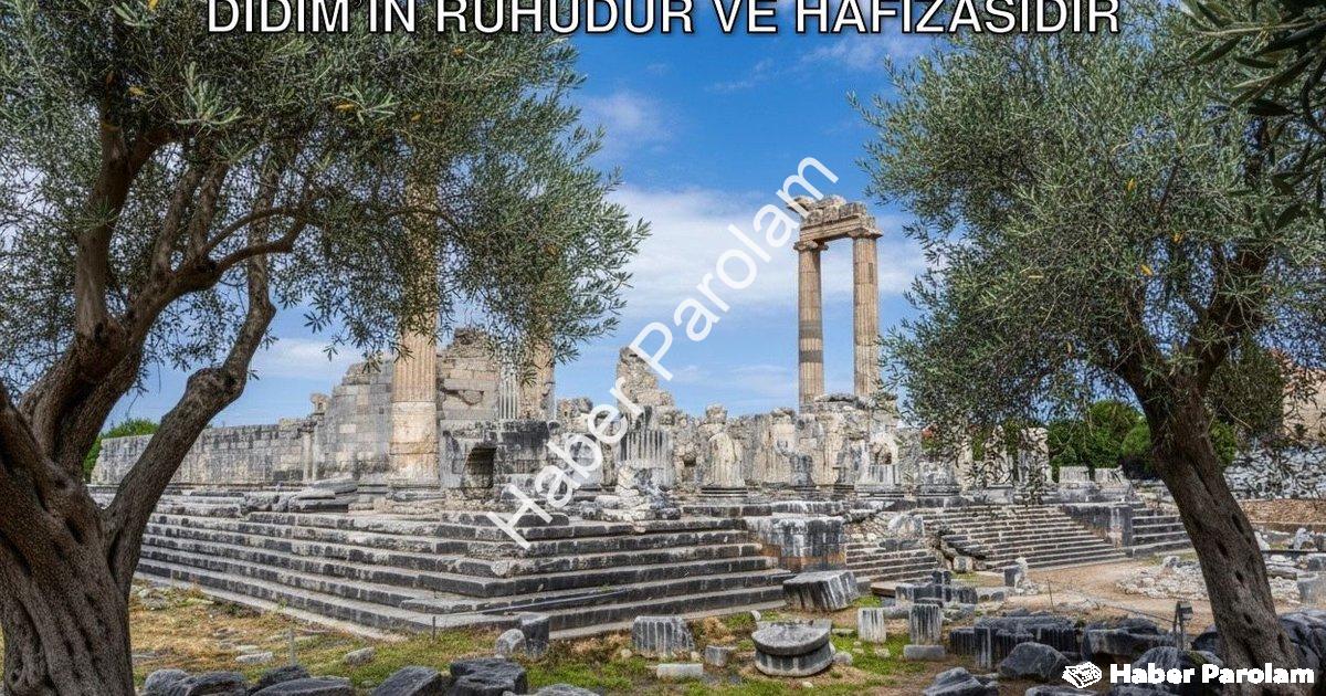 "Başkan Gençay Vurguladı: Zeytin Ağacı Didim’in Ruhudur ve Hafızasıdır" başlıklı haber için fotoreal