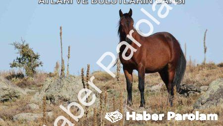 Kumalar Dağı’nda Büyüleyen Manzara: Yılkı Atları ve Bulutların Dansı