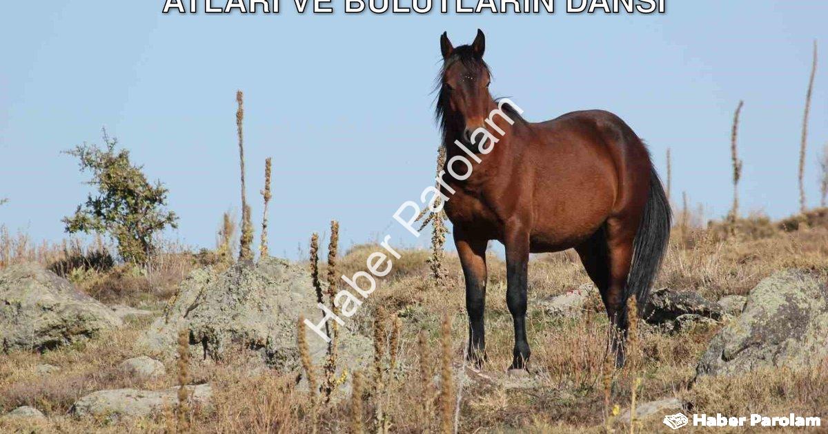 "Kumalar Dağı'nda Büyüleyen Manzara: Yılkı Atları ve Bulutların Dansı" başlıklı haber için fotoreali