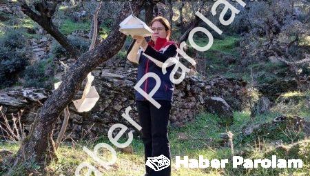 Söke’de Çiftçiye Kritik Uyarı: Akdeniz Meyve Sineği Tehdidi Büyüyor