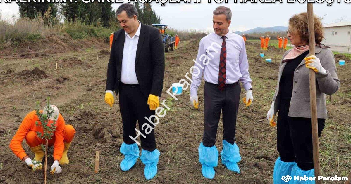 "Dalaman Açık Cezaevi'nde Tarımsal Kalkınma: Sakız Ağaçları Toprakla Buluştu" başlıklı haber için fo
