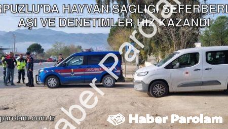 Karpuzlu’da Hayvan Sağlığı Seferberliği: Aşı ve Denetimler Hız Kazandı