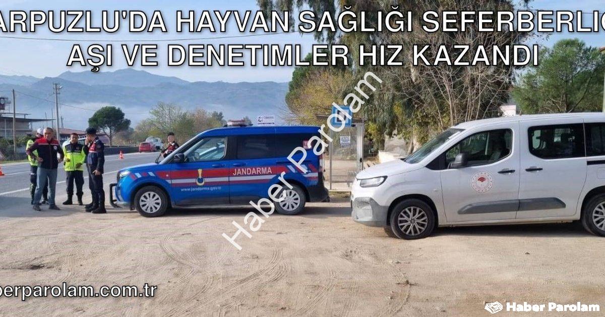 "Karpuzlu'da Hayvan Sağlığı Seferberliği: Aşı ve Denetimler Hız Kazandı" başlıklı haber için fotorea