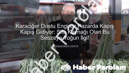 Karaciğer Dostu Enginar Pazarda Kapış Kapış Gidiyor: Şifa Kaynağı Olan Bu Sebzeye Yoğun İlgi!