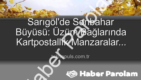 Sarıgöl Üzüm Bağlarında Görkemli Sonbahar: Budama Çalışmaları Başladı, Manzara Büyülüyor!