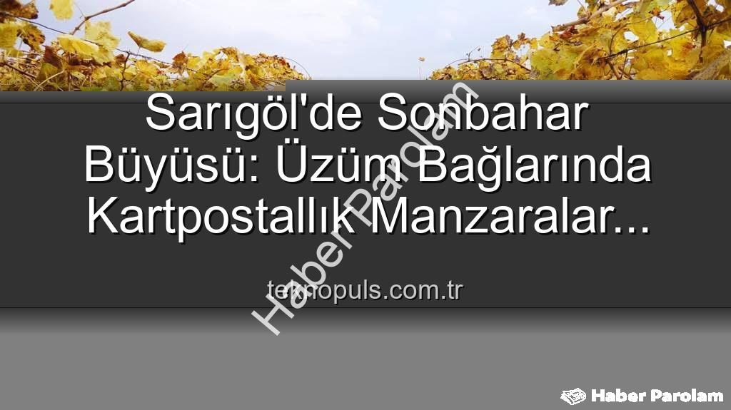 Sarıgöl üzüm bağları - Sarıgöl Üzüm Bağlarında Görkemli Sonbahar: Budama Çalışmaları Başladı, Manzara Büyülüyor!