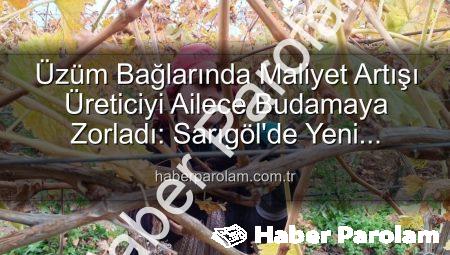 Üzüm Bağlarında Maliyet Artışı Üreticiyi Ailece Budamaya Zorladı: Sarıgöl’de Yeni Dönem Başladı