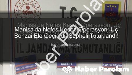 Manisa’da Nefes Kesen Operasyon: Uç Bonzai Ele Geçirildi, Şüpheli Tutuklandı!