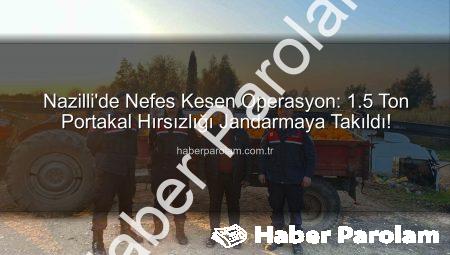 Nazilli’de Nefes Kesen Operasyon: 1.5 Ton Portakal Hırsızlığı Jandarmaya Takıldı!