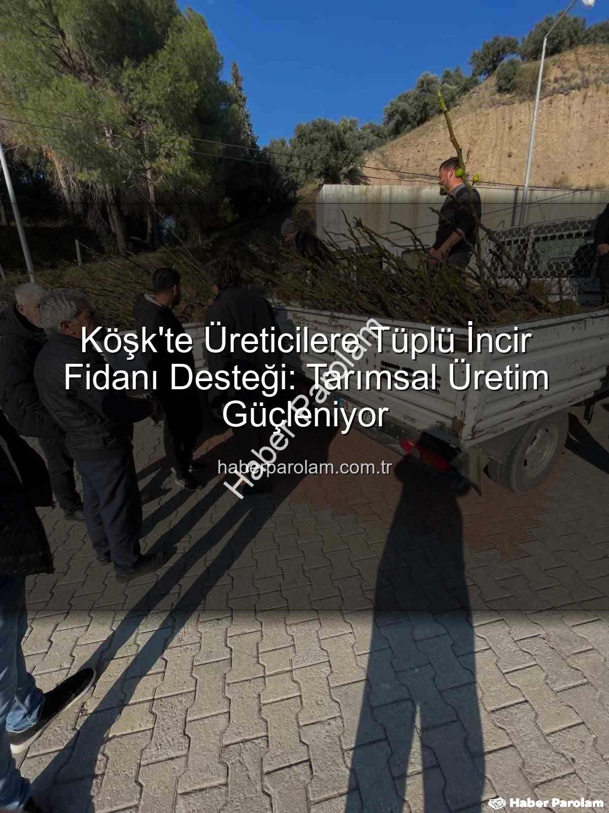 tüplü incir fidanı - Köşk'te Üreticilere Tüplü İncir Fidanı Desteği: Tarımsal Üretim Güçleniyor