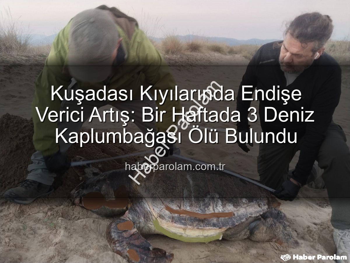 deniz kaplumbağası ölümleri - Kuşadası Kıyılarında Endişe Verici Artış: Bir Haftada 3 Deniz Kaplumbağası Ölü Bulundu