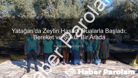 Yatağan’da Zeytin Hasadı Dualarla Başladı: Bereket ve Şükür Bir Arada