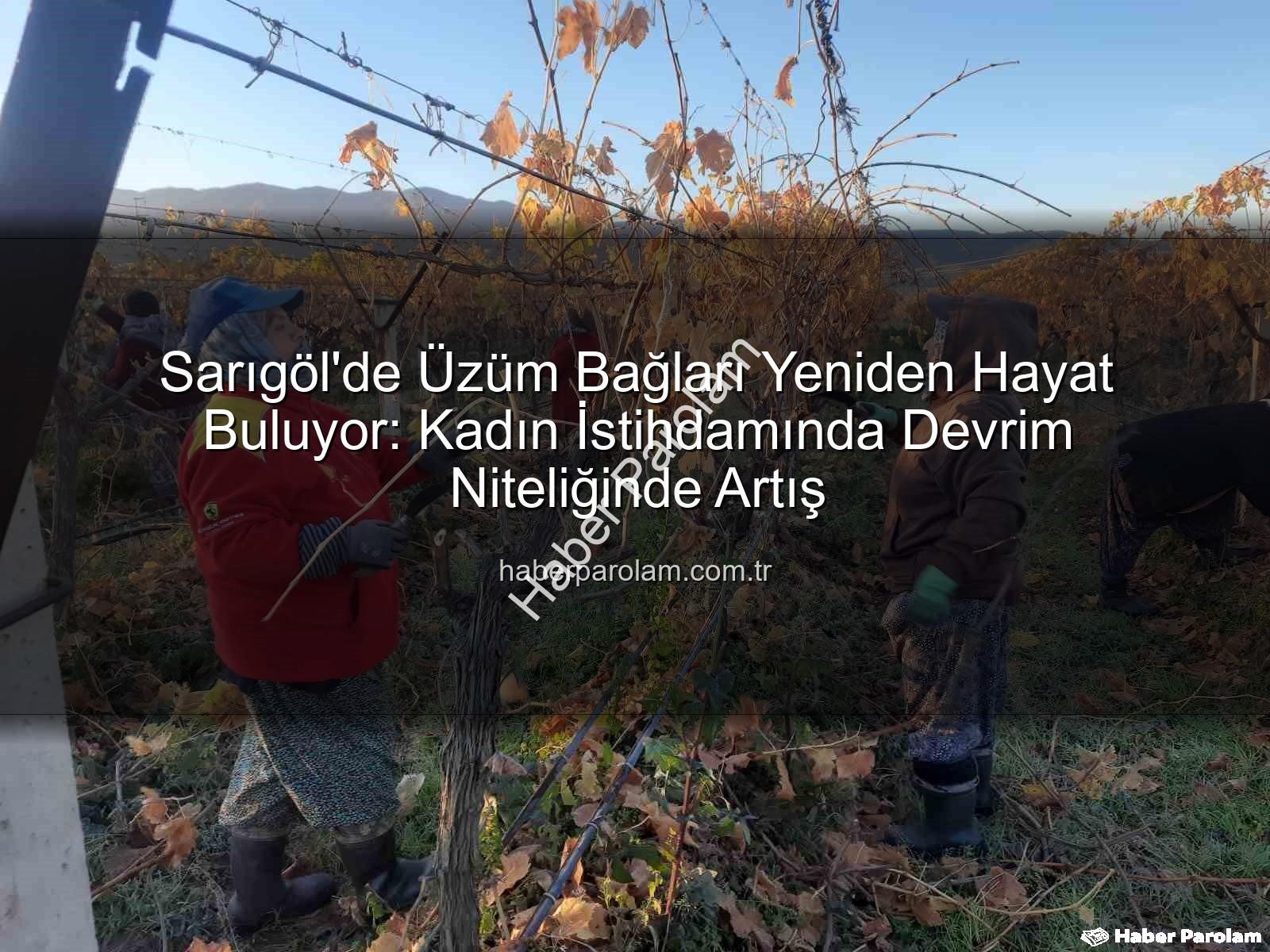 kadın istihdamı - Sarıgöl'de Üzüm Bağları Yeniden Hayat Buluyor: Kadın İstihdamında Devrim Niteliğinde Artış