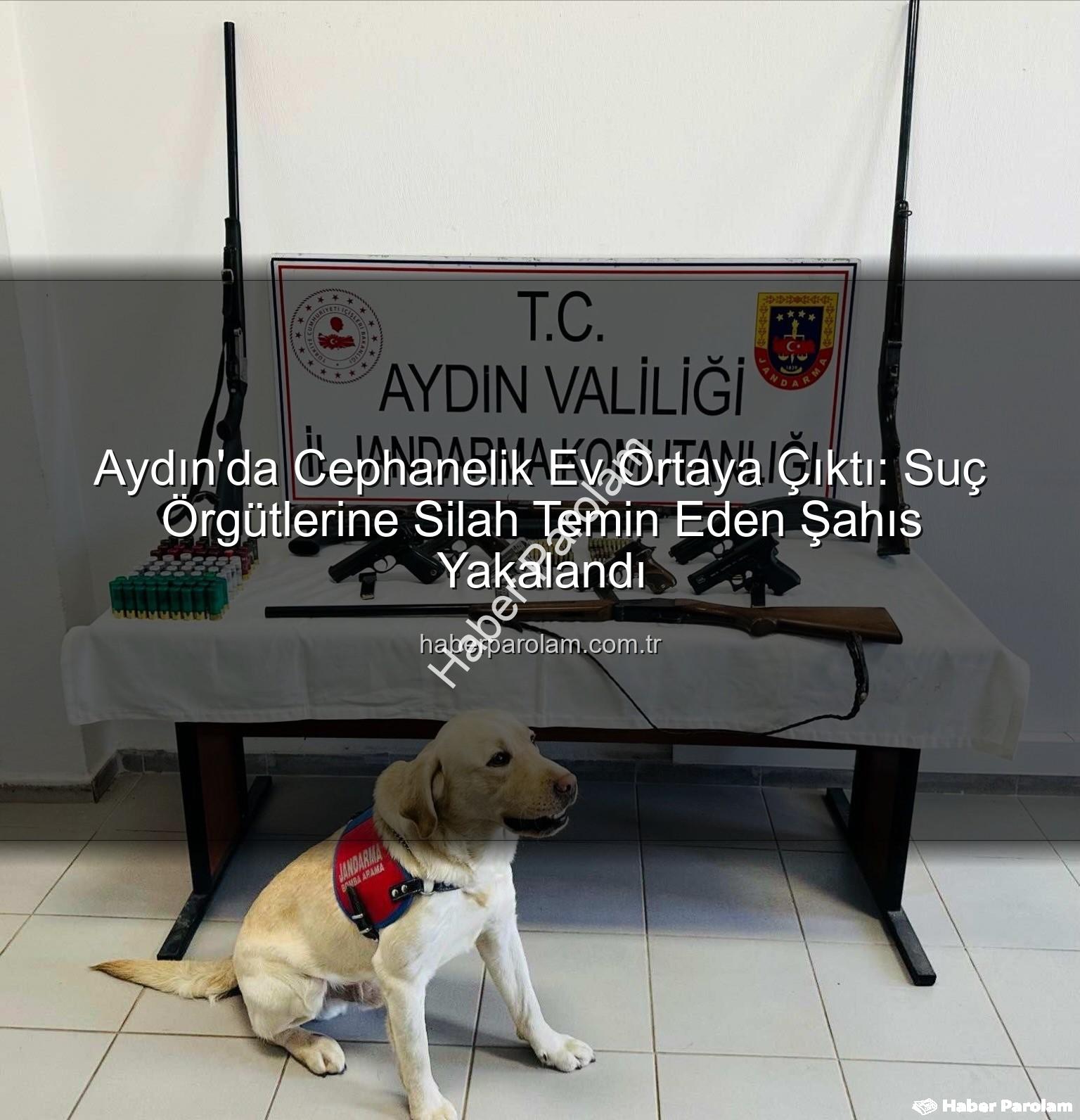 ruhsatsız silah - Aydın'da Cephanelik Ev Ortaya Çıktı: Suç Örgütlerine Silah Temin Eden Şahıs Yakalandı