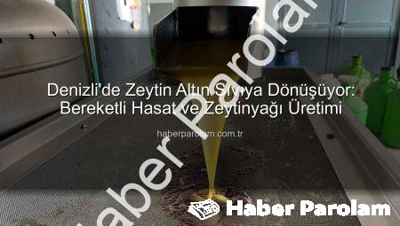 Denizli’de Zeytin Altın Sıvıya Dönüşüyor: Bereketli Hasat ve Zeytinyağı Üretimi