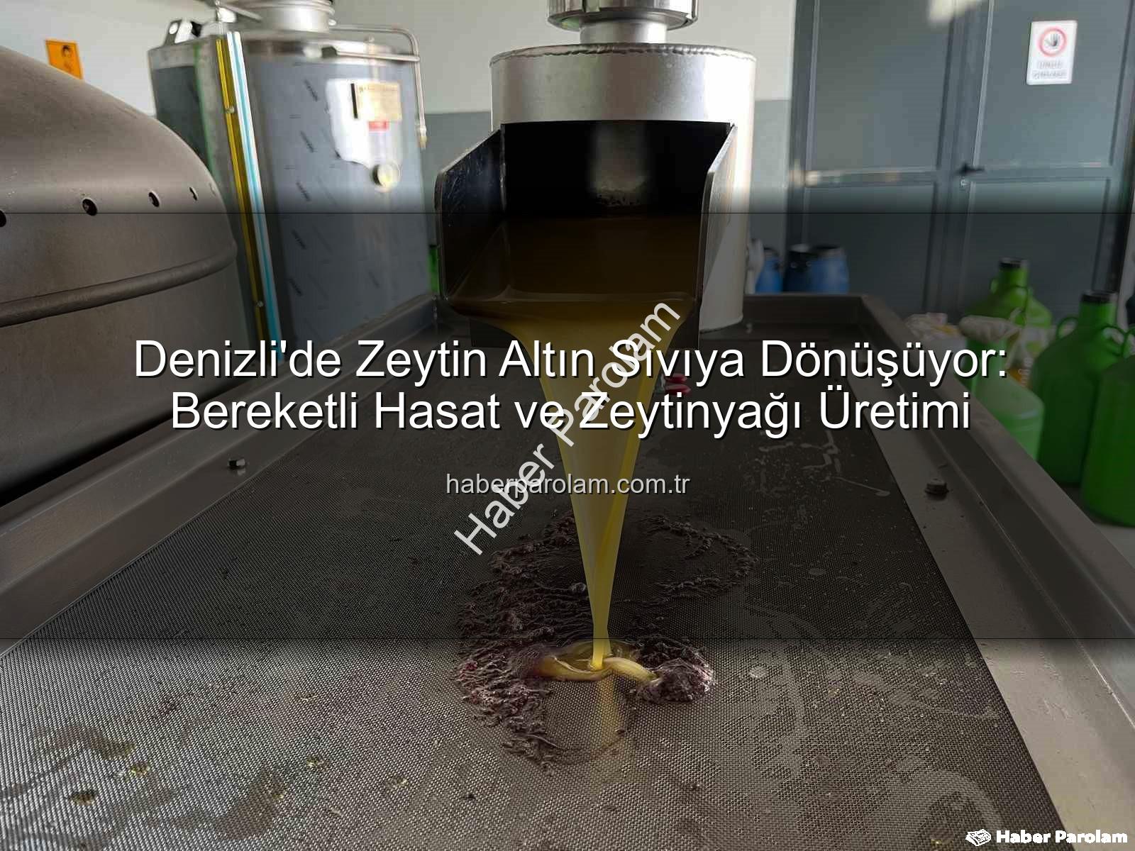 zeytinyağı üretimi - Denizli'de Zeytin Altın Sıvıya Dönüşüyor: Bereketli Hasat ve Zeytinyağı Üretimi