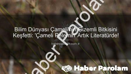 Bilim Dünyası Çameli’nin Gizemli Bitkisini Keşfetti: ‘Çameli Pelemiri’ Artık Literatürde!