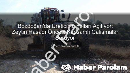 Bozdoğan’da Üreticinin Yolları Açılıyor: Zeytin Hasadı Öncesi Kapsamlı Çalışmalar Sürüyor