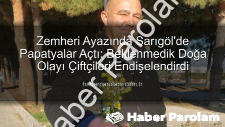 Zemheri Ayazında Sarıgöl’de Papatyalar Açtı: Beklenmedik Doğa Olayı Çiftçileri Endişelendirdi