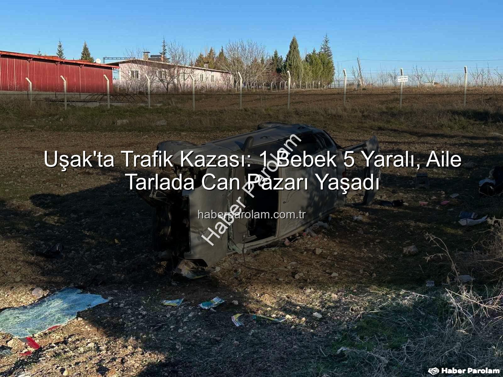 Uşak trafik kazası - Uşak'ta Trafik Kazası: 1 Bebek 5 Yaralı, Aile Tarlada Can Pazarı Yaşadı